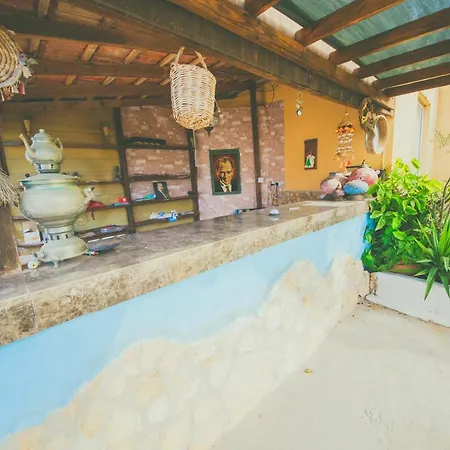 Castle Karpasia Agro At Rizokarpasso Guest house